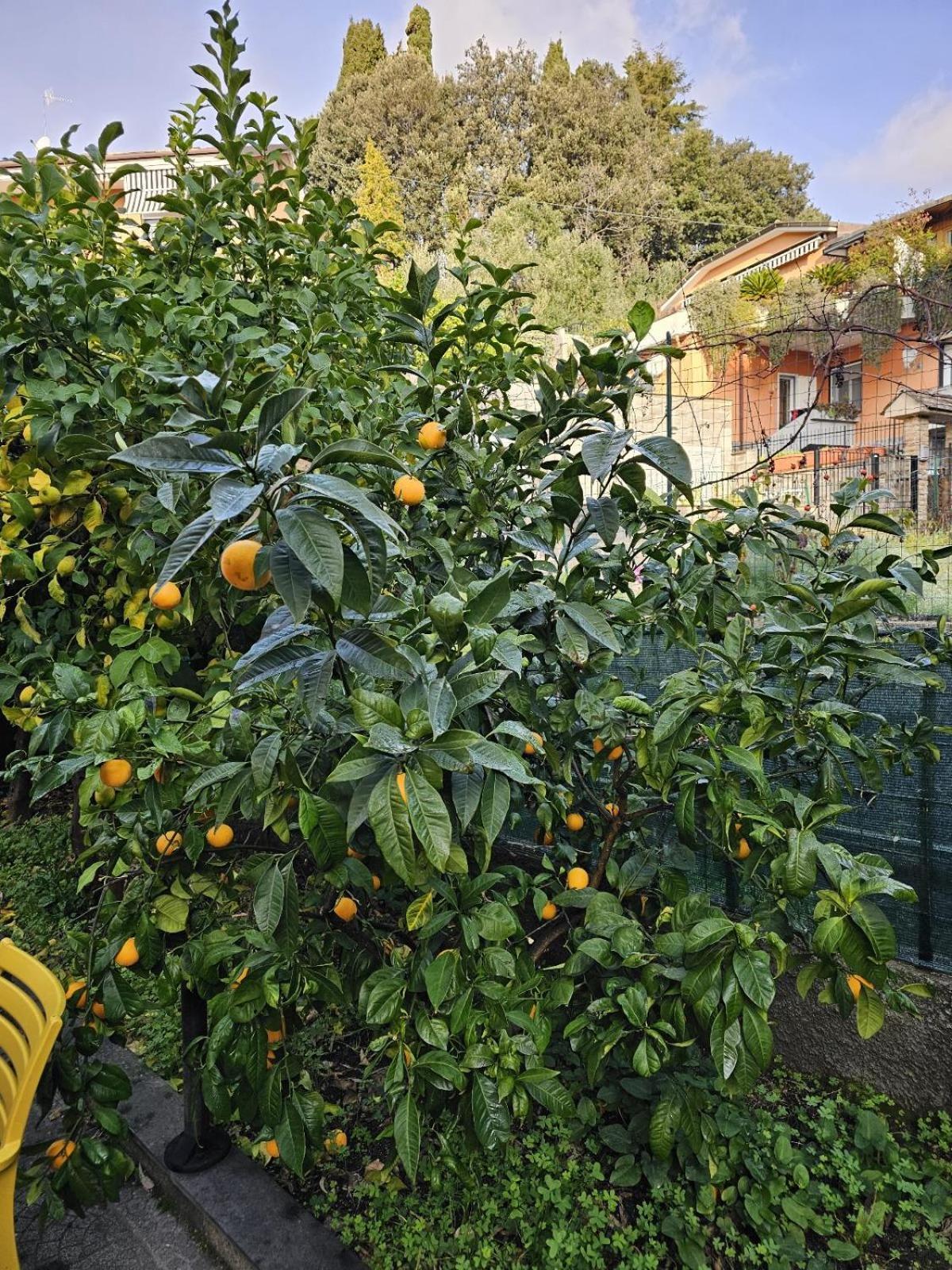 Marty&Olly Luxury Garden Apt Monterosso al Mare Dış mekan fotoğraf